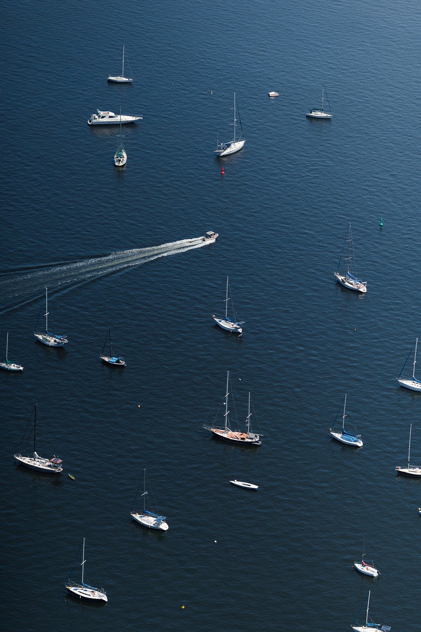 background, baía de guanabara, bay, bay area, beach, blue, boat, boat in ocean, boat on lake, brasil, nature, brazil, calm, coast, harbor, landscape, marine, marine life, mureta da urca, ocean, pier, beautiful wallpaper, port, rio de janeiro, sail, sailboat, sailing boat, phone wallpaper, aesthetic wallpaper